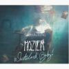 flat750x075f pad750x1000f8f8f8.u2 7 - Hozier Store